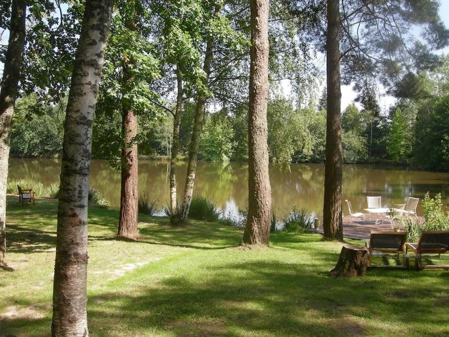 Paradis Perdu En Sologne Avec Plage Privee Villeny 外观 照片