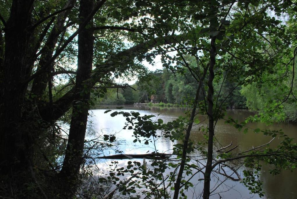 Paradis Perdu En Sologne Avec Plage Privee Villeny 外观 照片