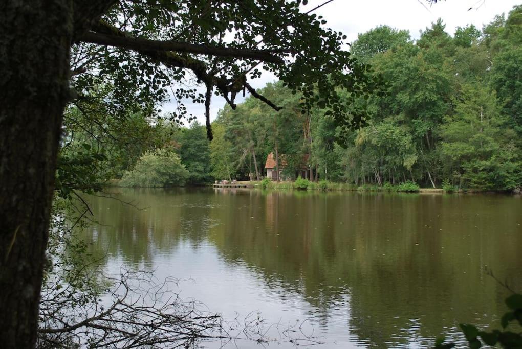 Paradis Perdu En Sologne Avec Plage Privee Villeny 外观 照片